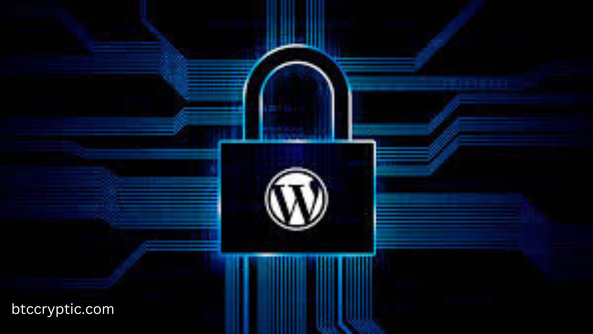 Common WordPress Security and Hosting Issues