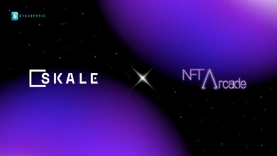 NFT Marketplaces with SKALE Partnership