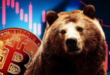 Bitcoin Price Drop Over or Bears Still Alive