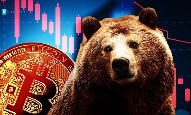 Bitcoin Price Drop Over or Bears Still Alive