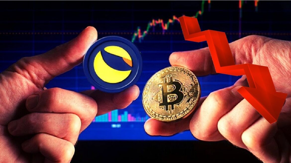 Bitcoin Market Predictions Bear Traps 2025