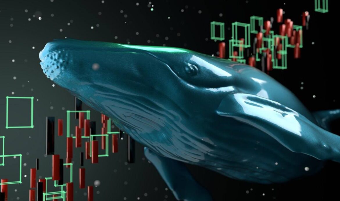 Pippin's Skyrocketing Whale Impact and Future