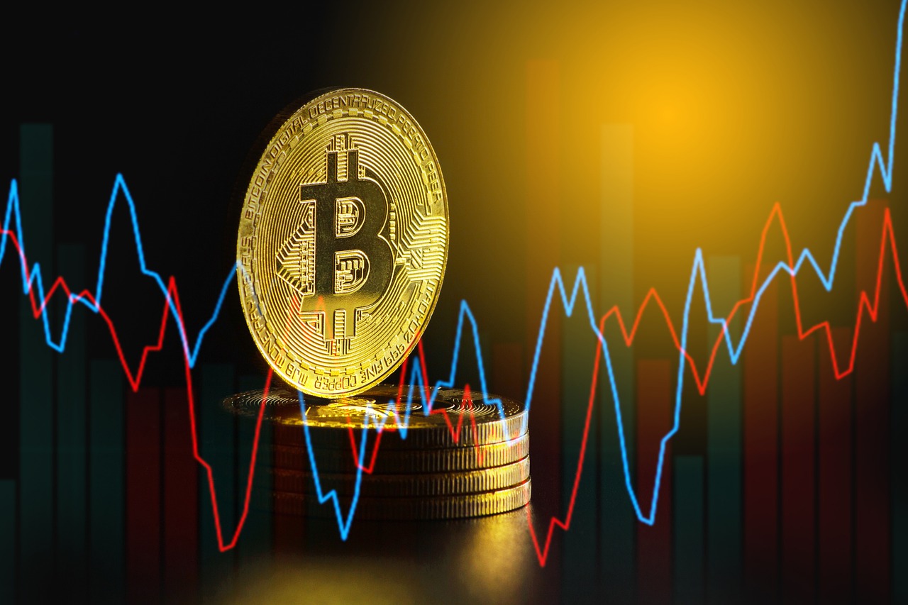 Bitcoin's Recent Price Decline