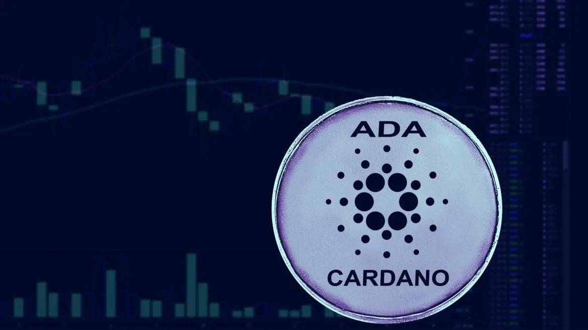 The Potential for Cardano
