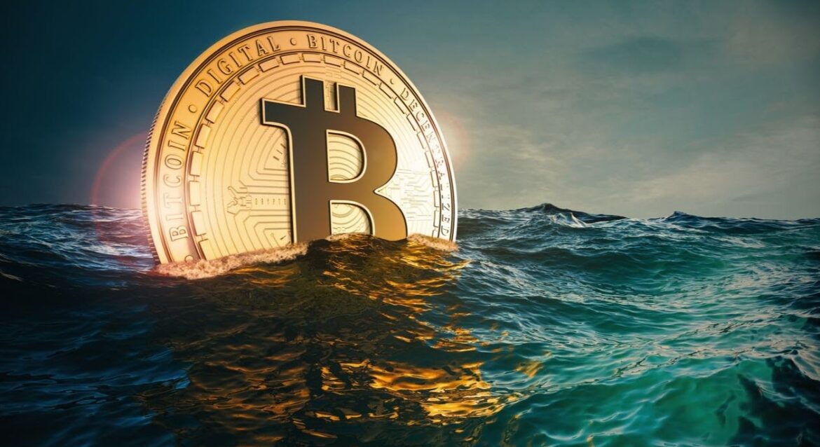 Bitcoin whale accumulation