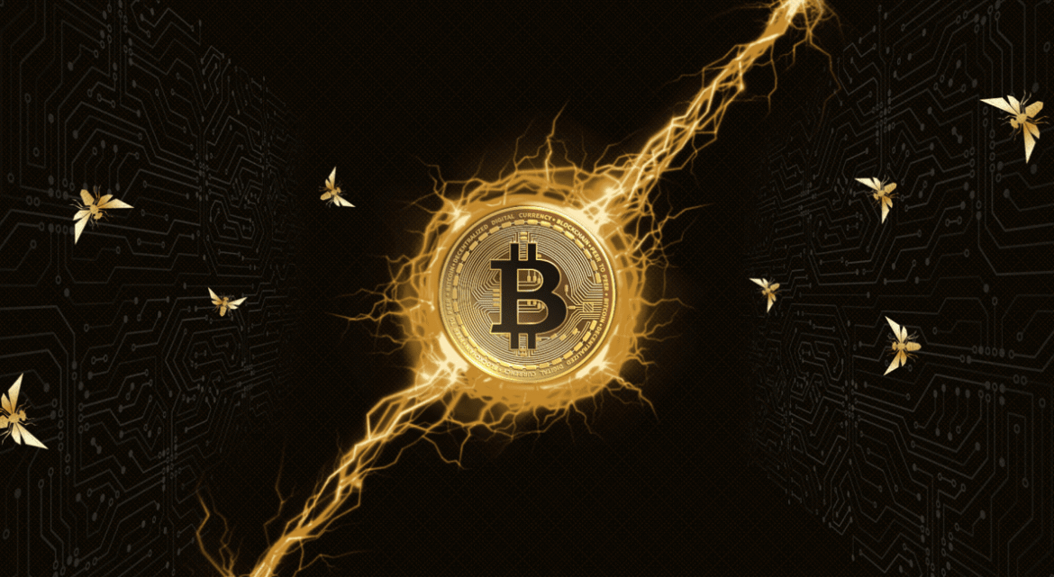 Bitcoin corporate risks