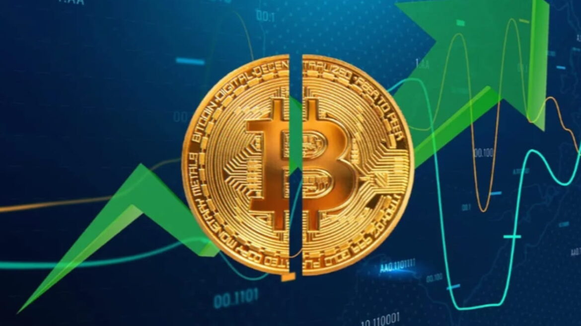 Bitcoin halving price impact