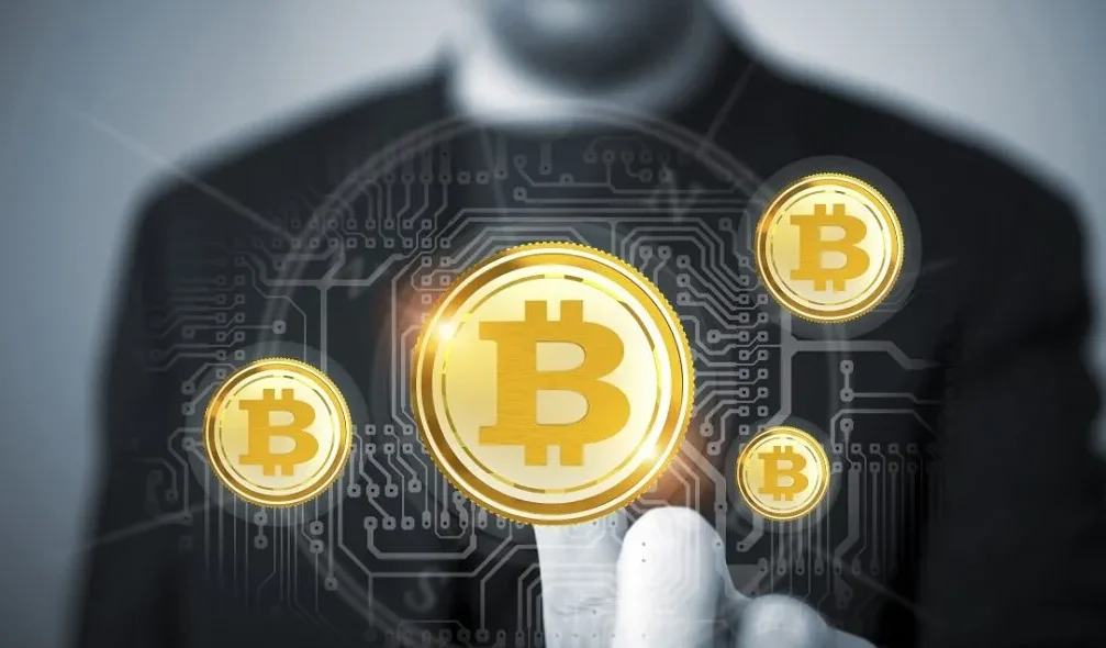 Portfolio Allocation Guidance