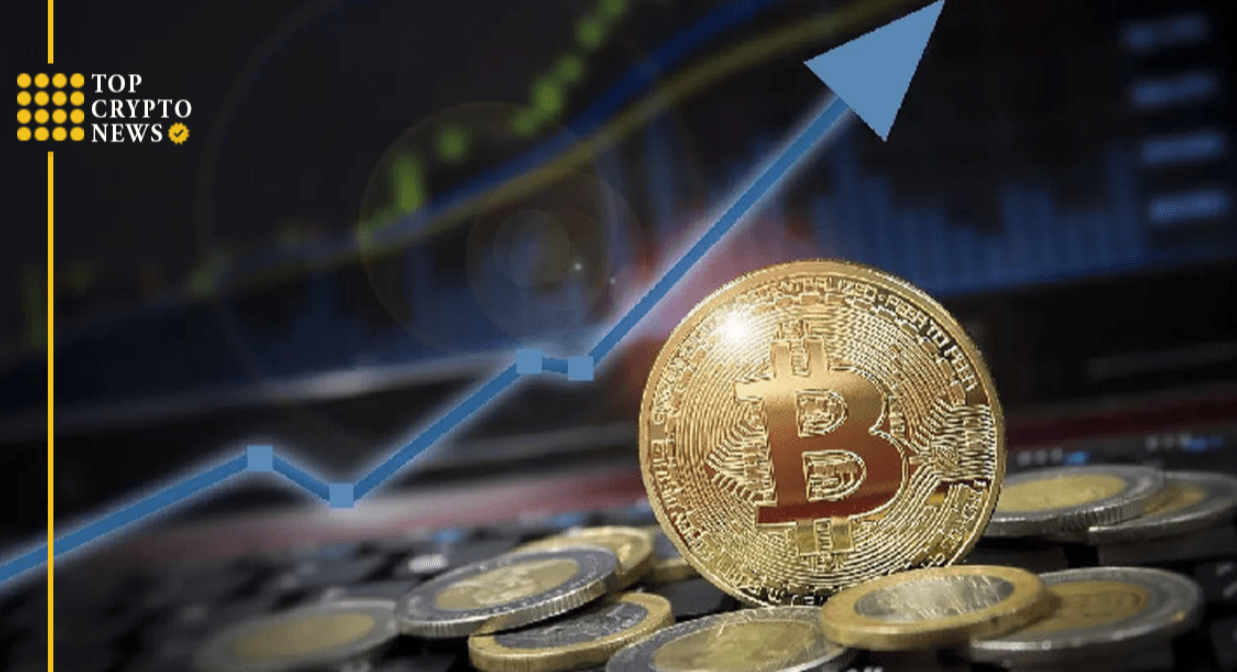 What Makes a Bitcoin Investment App Beginner-Friendly